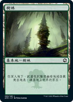 2021 Magic The Gathering Adventures in the Forgotten Realms (Chinese Traditional) #280 樹林 Front