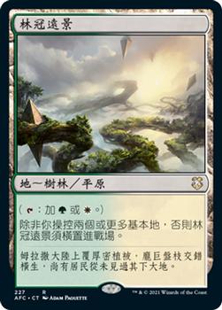 2021 Magic The Gathering Adventures in the Forgotten Realms Commander (Chinese Traditional) #227 林冠遠景 Front