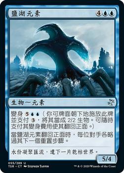 2021 Magic The Gathering Time Spiral Remastered (Chinese Traditional) #55 鹽湖元素 Front