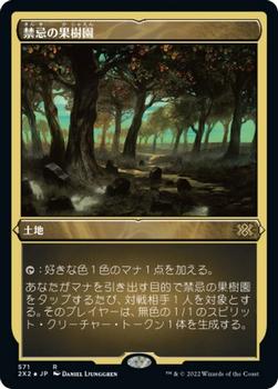 2022 Magic: The Gathering Double Masters Japanese #571 禁忌の果樹園 Front