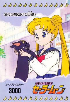 1992 Sailor Moon: PP1 (Japanese) #32 Usagi and Luna Front