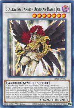 2021 Yu-Gi-Oh! Legendary Duelists: Season 2 - English 1st/Limited Edition #LDS2-EN042 Blackwing Tamer - Obsidian Hawk Joe Front