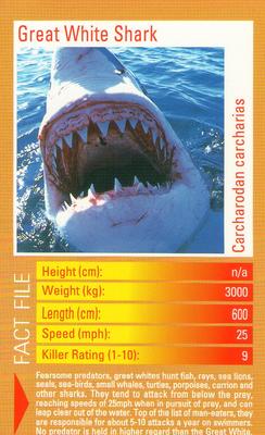 2003 Top Trumps Predators #NNO Great White Shark Front