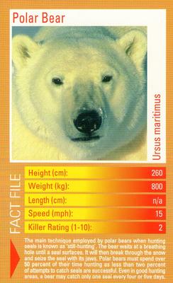 2003 Top Trumps Predators #NNO Polar Bear Front