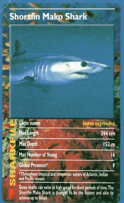 2003 Top Trumps Sharks #NNO Shortfin Mako Shark Front