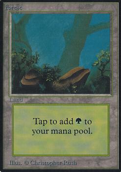 1993 Magic the Gathering Alpha #NNO Forest Front