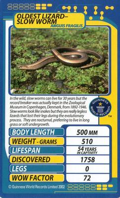 2002 Top Trumps Creepy Crawlies #NNO Oldest Lizard - Slow Worm Front