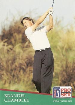 1991 Pro Set PGA Tour #15 Brandel Chamblee Front