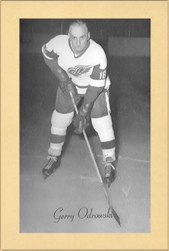 1944-64 Bee Hive Hockey Photos (Group 2) #NNO Gerry Odrowski Front