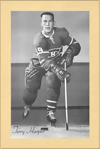 1944-64 Bee Hive Hockey Photos (Group 2) #NNO Terry Harper Front