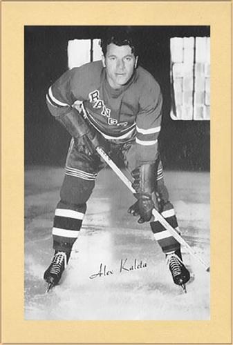 1944-64 Bee Hive Hockey Photos (Group 2) #NNO Alex Kaleta Front