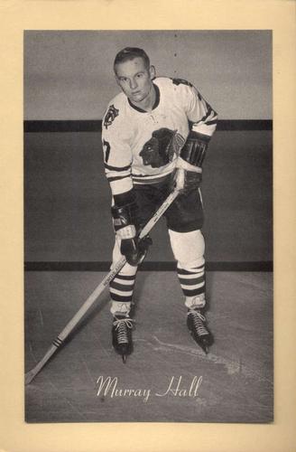 1944-64 Bee Hive Hockey Photos (Group 2) #NNO Murray Hall Front
