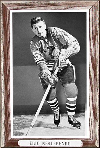 Eric Nesterenko Hockey Cards