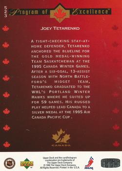 1995-96 Upper Deck - Electric Ice #523 Joey Tetarenko Back