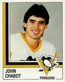 1987-88 Panini Hockey Stickers #151 John Chabot Front