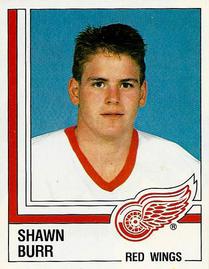 1987-88 Panini Stickers #247 Shawn Burr Front