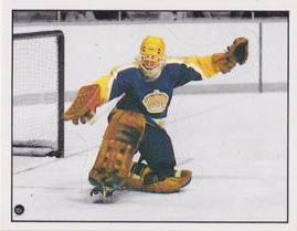 1987-88 Panini Hockey Stickers #269 Darren Eliot Front