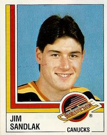 1987-88 Panini Hockey Stickers #352 Jim Sandlak Front