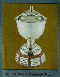 1987-88 Panini Hockey Stickers #382 James Norris Memorial Trophy Front