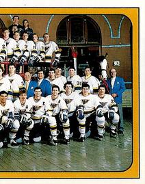 1988-89 Panini Stickers #113 St. Louis Blues Team Photo Front