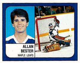 1988-89 Panini Stickers #116 Allan Bester Front