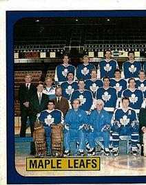 1988-89 Panini Stickers #128 Toronto Maple Leafs Team Photo Front