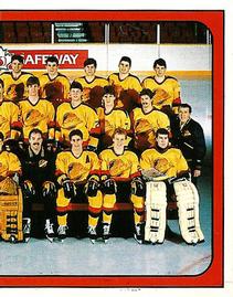 1988-89 Panini Stickers #145 Vancouver Canucks Team Photo Front