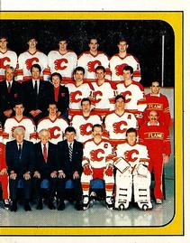 1988-89 Panini Stickers #17 Calgary Flames Team Photo Front