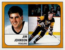 1988-89 Panini Hockey Stickers #334 Jim Johnson Front