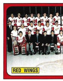 1988-89 Panini Hockey Stickers #48 Detroit Red Wings Front