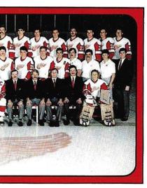 1988-89 Panini Stickers #49 Detroit Red Wings Team Photo Front