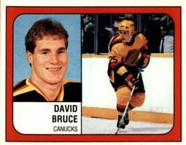 1988-89 Panini Hockey Stickers #137 David Bruce Front