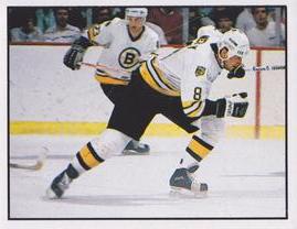 1988-89 Panini Stickers #191 Boston Bruins Action Front