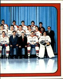1988-89 Panini Hockey Stickers #376 Washington Capitals Front
