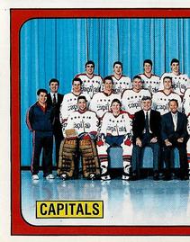 1988-89 Panini Stickers #375 Washington Capitals Team Photo Front