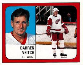 1988-89 Panini Hockey Stickers #39 Darren Veitch Front