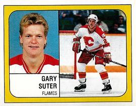 1988-89 Panini Hockey Stickers #7 Gary Suter Front