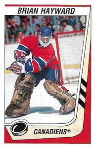 1989-90 Panini Hockey Stickers #246 Brian Hayward Front