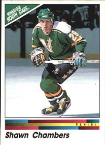 1990-91 Panini Hockey Stickers #252 Shawn Chambers Front