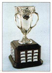 1990-91 Panini Hockey Stickers #348 Calder Memorial Trophy Front