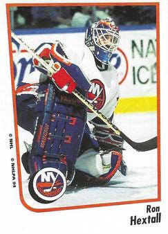 1994-95 Panini Stickers #54 Ron Hextall Front