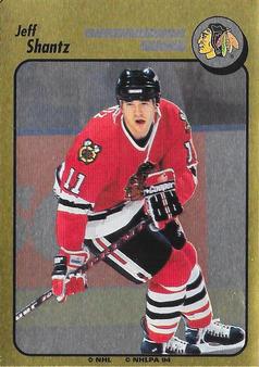 1994-95 Panini Hockey Stickers #O Jeff Shantz Front