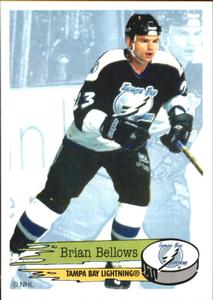 1995-96 Panini Stickers #128 Brian Bellows Front