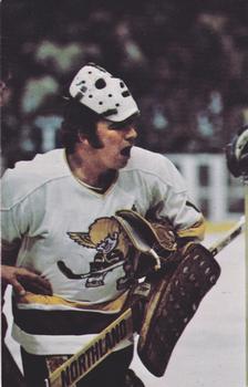 1974-75 Minnesota Fighting Saints (WHA) #7 Mike Curran Front