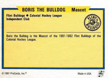 1991-92 ProCards AHL/IHL/CoHL #NNO Boris Bulldog Back