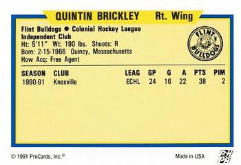 1991-92 ProCards AHL/IHL/CoHL #NNO Quintin Brickley Back