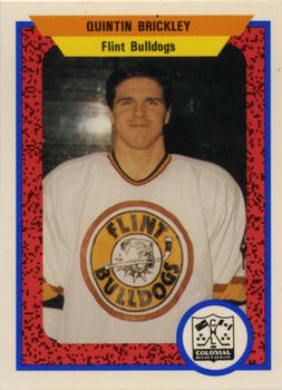 1991-92 ProCards AHL/IHL/CoHL #NNO Quintin Brickley Front