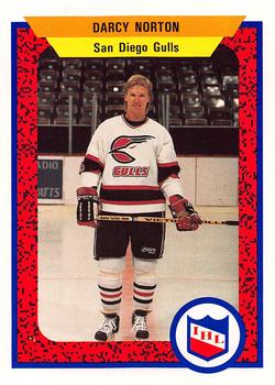 1991-92 ProCards AHL/IHL/CoHL #321 Darcy Norton Front