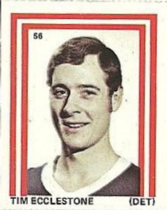 1971-72 Eddie Sargent NHL Players Stickers #56 Tim Ecclestone Front