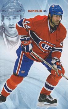 2007-08 Montreal Canadiens Postcards #NNO Roman Hamrlik Front